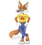 Der Bausparfuchs mit gelben Shirt und Jeans im Jahr 1985 Grafik des Bausparfuchses der Bausparkasse Schwäbisch Hall im Jahre 1985