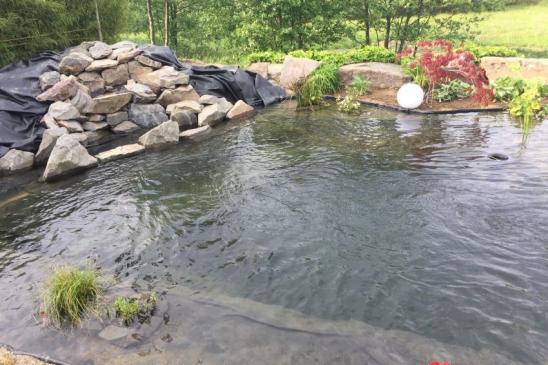 Teichbau Gartenteich mit Natursteinen