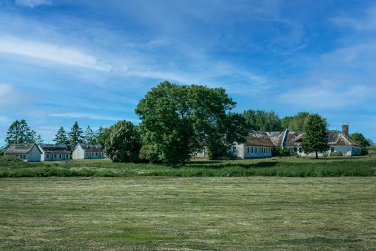 Trendwende zur Stadtflucht?