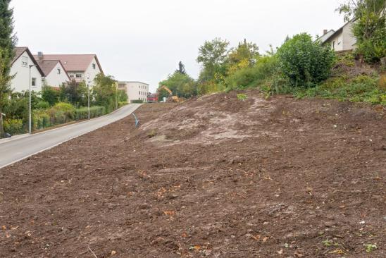 Ein Baugrundstück mit Gefälle