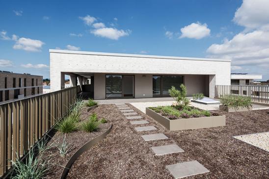 Großflächige Dachterrasse eines Flachdachbaus mit Begrünung